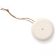 Bang & Olufsen Beosound A1 2nd. Gen Gold Tone