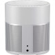 Bose Home Speaker 300 Silver (808429-2300)