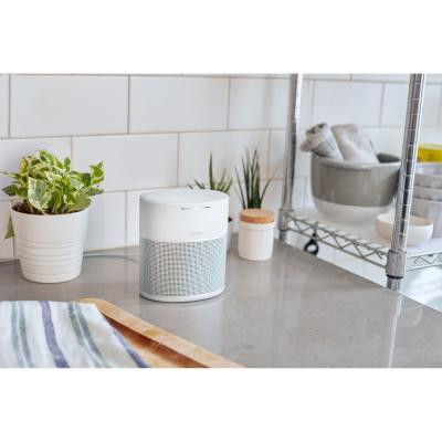 Bose Home Speaker 300 Silver (808429-2300)