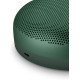 Bang & Olufsen Beosound A1 2nd Gen Green