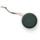 Bang & Olufsen Beosound A1 2nd Gen Green