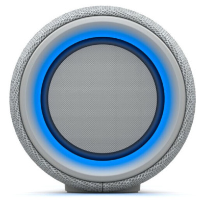 Sony SRS-XG300 Grey (SRSXG300H.RU4)