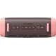 Anker SoundCore Boom 3i Brown (D5100080)