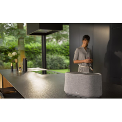 Harman/Kardon Citatione 300 Winter Grey (HKCITATION300GRYEU)