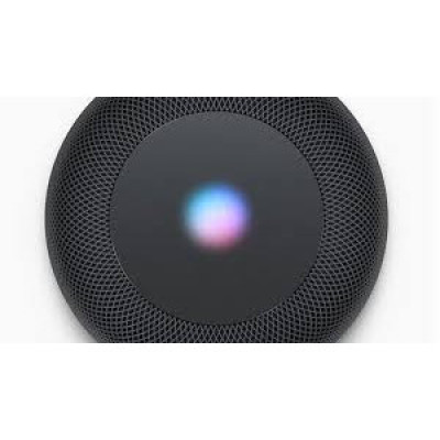 Apple HomePod mini Space Gray (MY5G2)