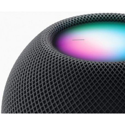 Apple HomePod mini Space Gray (MY5G2)