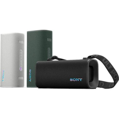 Sony ULT FIELD 3 Forest Gray (SRSULT30H.E)