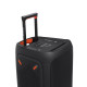 JBL PartyBox 310 + PBM100 (JBLPARTYBOX310MCEU)
