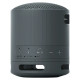 Sony SRS-XB100 Black (SRSXB100B)