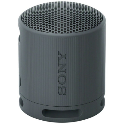 Sony SRS-XB100 Grey (SRSXB100H.CE7)