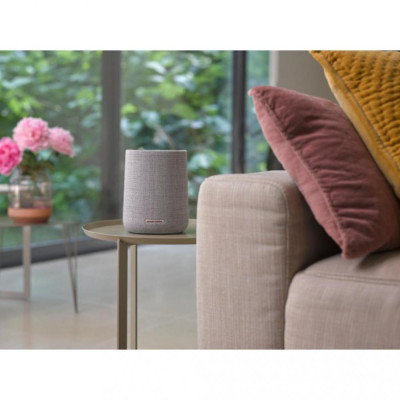 Harman/Kardon Citation ONE Grey (HKCITAONEMKIIGRYEU)