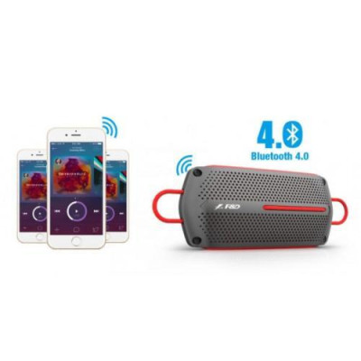 1.0 F&D W12 Black 2x4 Вт