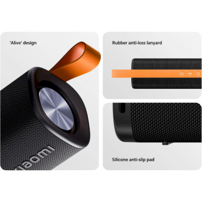 Xiaomi Sound Outdoor 30W Black (QBH4261GL)