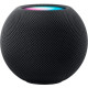 Apple HomePod mini Midnight (MTJT3)