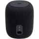 JBL Link Music Black (JBLLINKMUSICBLK)