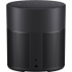 Bose Home Speaker 300 Black (808429-210)