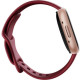 Fitbit Versa 4 Beet Juice/Copper Rose (FB523RGRD)