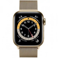 Apple Watch Series 6 GPS + Cellular 40mm Graphite S. Steel Case w. Gold Milanese Loop (M0DF3/M0DW3)
