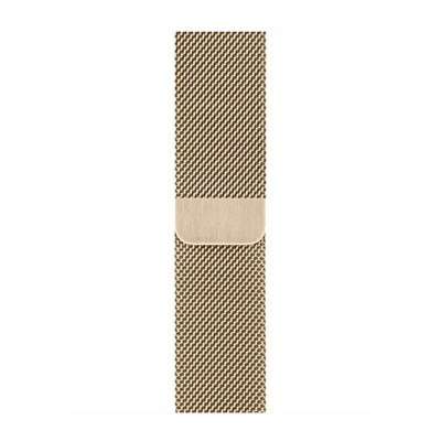 Apple Watch Series 6 GPS + Cellular 40mm Graphite S. Steel Case w. Gold Milanese Loop (M0DF3/M0DW3)