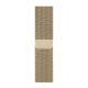 Apple Watch Series 6 GPS + Cellular 40mm Graphite S. Steel Case w. Gold Milanese Loop (M0DF3/M0DW3)