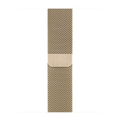 Apple Watch Series 6 GPS + Cellular 40mm Graphite S. Steel Case w. Gold Milanese Loop (M0DF3/M0DW3)