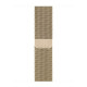 Apple Watch Series 6 GPS + Cellular 40mm Graphite S. Steel Case w. Gold Milanese Loop (M0DF3/M0DW3)