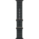 Apple Watch Ultra 2 GPS + Cellular 49mm Natural Titan. Case w. Black Ocean Band (MXTL3)