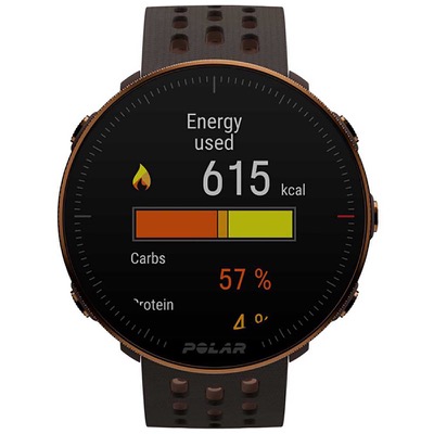 Polar Vantage M2 Copper-Brown S/L (90085163)