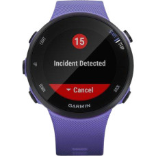 Garmin Forerunner 45s Iris (010-02156-11/010-02156-01)