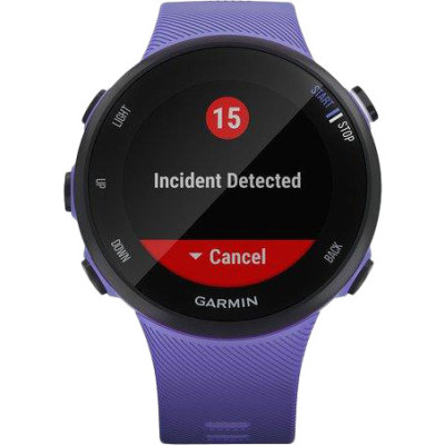 Garmin Forerunner 45s Iris (010-02156-11/010-02156-01)