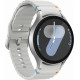Samsung Galaxy Watch 7 44mm Silver (SM-L310NZSA)