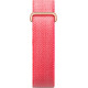Google Fitbit Air Berry (GA11016)
