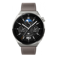 HUAWEI Watch GT 3 Pro 46mm Classic (55028467)