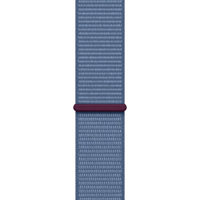 Apple Watch Series 9 GPS + Cellular 45mm Silver Aluminum Case with Winter Blue Sport Loop (MRMJ3)