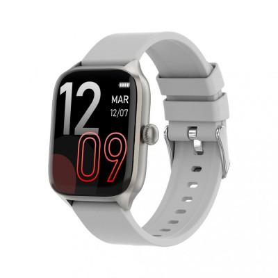 Gelius Pro GP-SW012 (Amazwatch GTS) Silver (2099900942549)