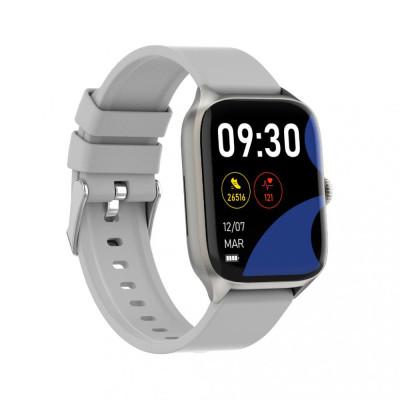 Gelius Pro GP-SW012 (Amazwatch GTS) Silver (2099900942549)