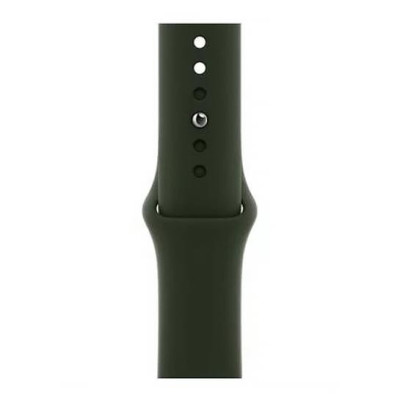 Apple Watch Series 6 GPS + Cellular 44mm Gold Stainless Steel Case w. Cyprus Green Sport B. (M07N3/M09F3)