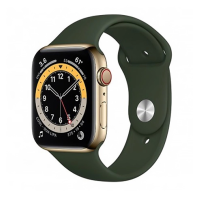 Apple Watch Series 6 GPS + Cellular 40mm Gold Stainless Steel Case w. Cyprus Green Sport B. (M02W3)