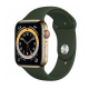 Apple Watch Series 6 GPS + Cellular 40mm Gold Stainless Steel Case w. Cyprus Green Sport B. (M02W3)