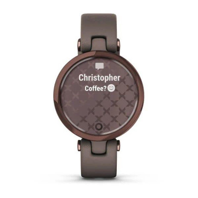 Garmin Lily Dark Bronze Bezel з Paloma Case і Italian Leather Band (010-02384-B0)