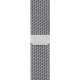 Apple Watch Series 5 LTE 40mm Steel w. Steel Milanese Loop - Steel (MWWT2)