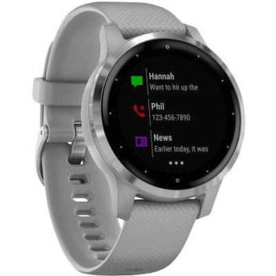 Garmin vivoactive 4S Powder Gray/Silver (010-02172-03/010-02172-01)
