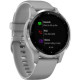 Garmin vivoactive 4S Powder Gray/Silver (010-02172-03/010-02172-01)