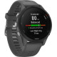 Garmin Forerunner 255 Slate Gray (010-02641-00/10/43)