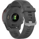 Garmin Forerunner 255 Slate Gray (010-02641-00/10/43)