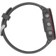 Garmin Forerunner 255 Slate Gray (010-02641-00/10/43)
