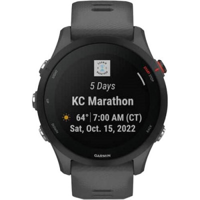 Garmin Forerunner 255 Slate Gray (010-02641-00/10/43)