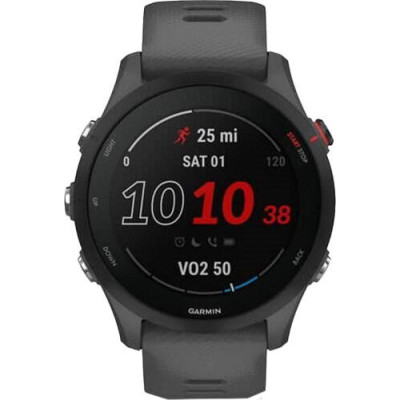 Garmin Forerunner 255 Slate Gray (010-02641-00/10/43)