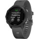Garmin Forerunner 245 Slate Gray (010-02120-00)
