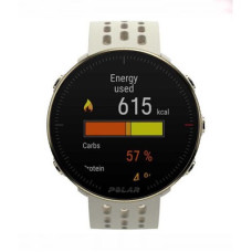 Polar Vantage M2 Champagne S/L (90085161)